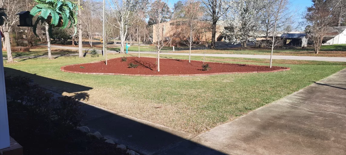 Landscaping island with red rubber mulch