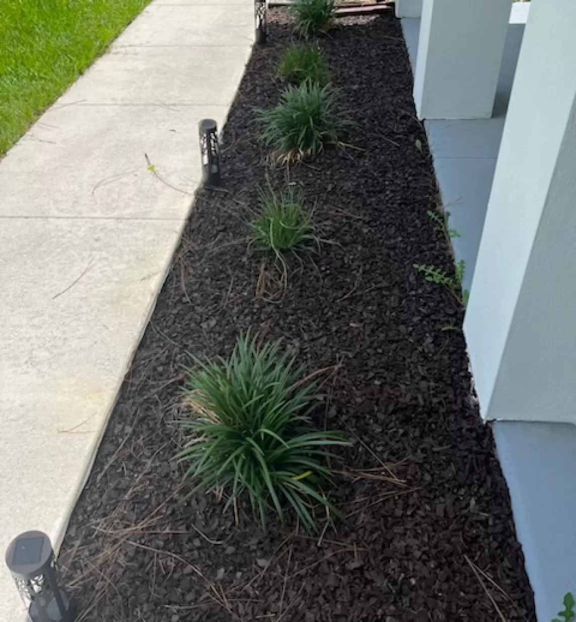 Front Garden Bed Walkway with Brown Rubber Mulch