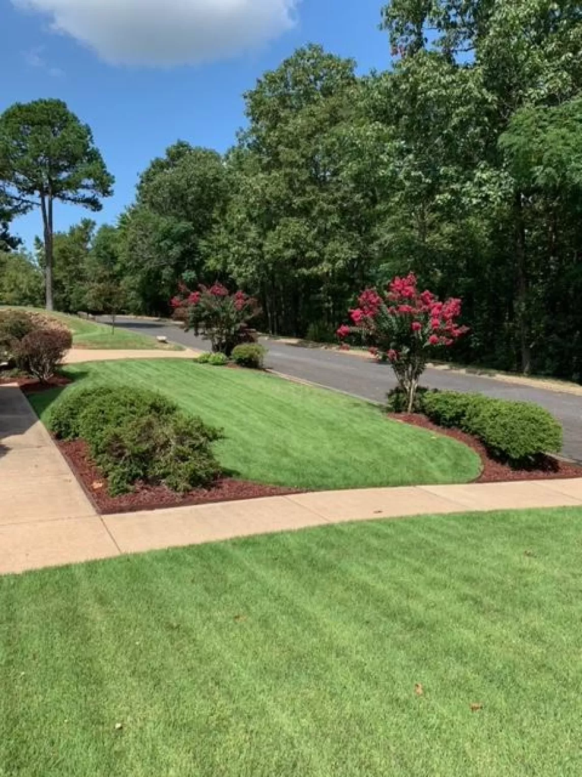 Red Rubber Mulch Landscape Front Yard