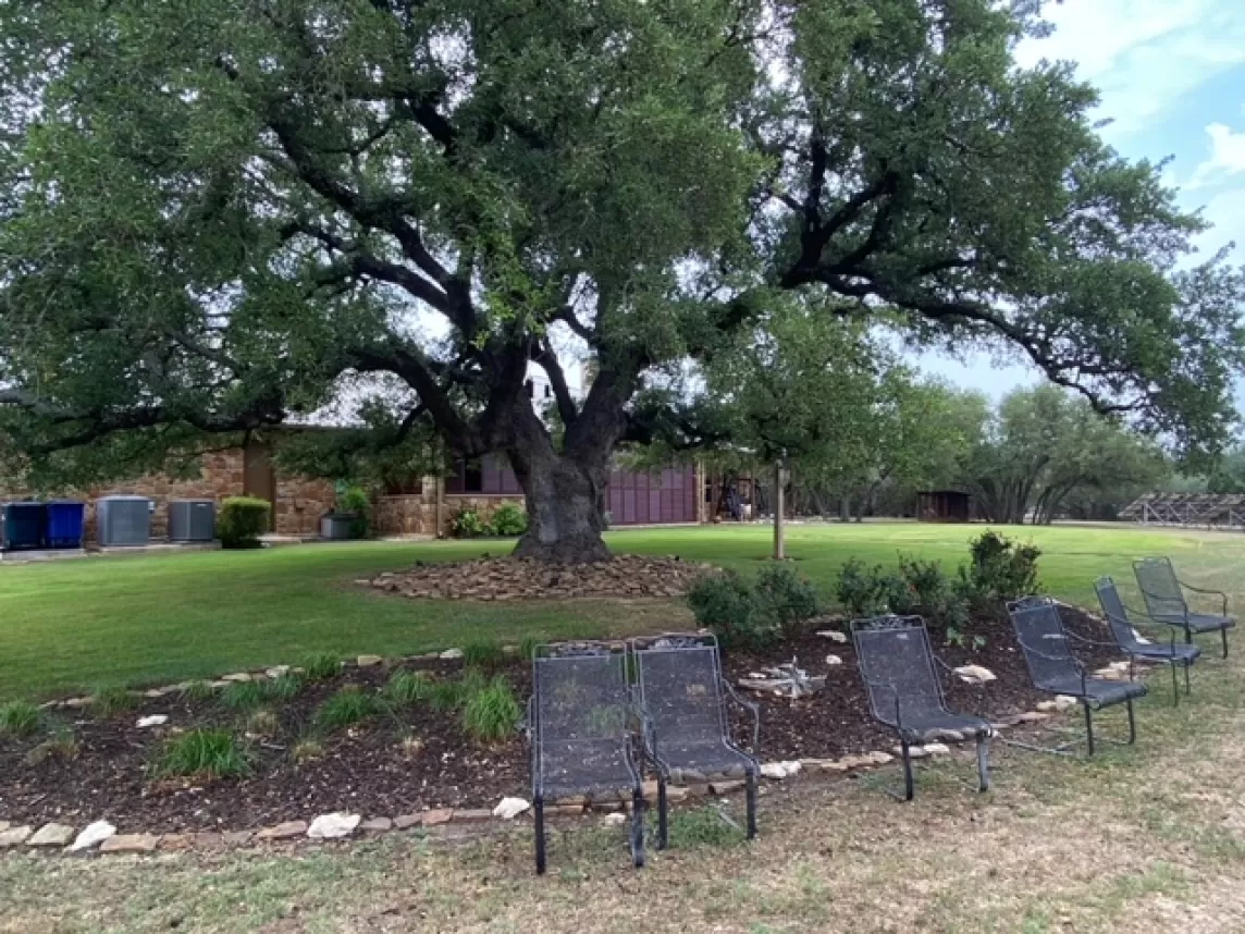 Garden bed with rubber mulch in the backyard