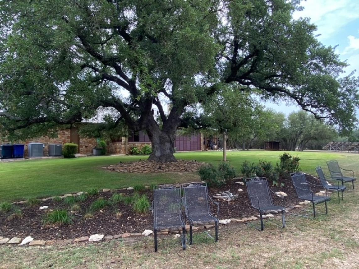 Garden bed with rubber mulch in the backyard