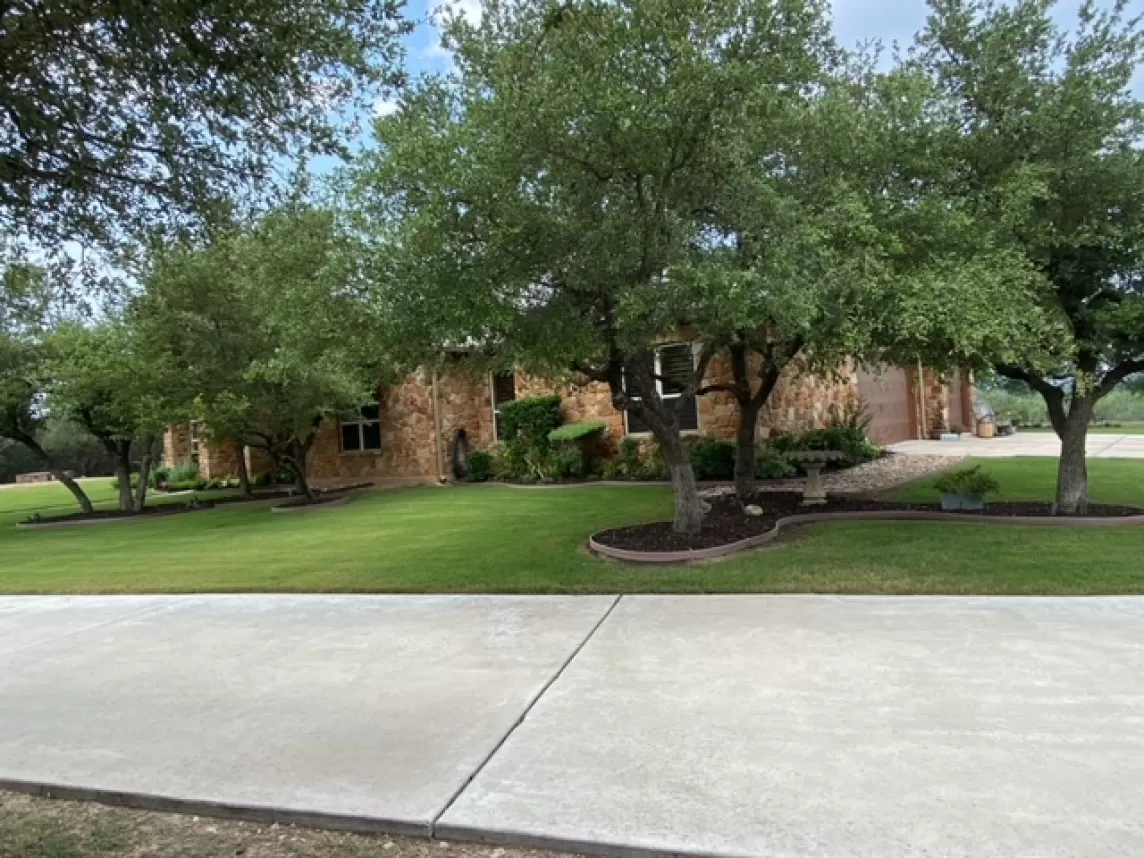 Curvy tree islands with rubber mulch