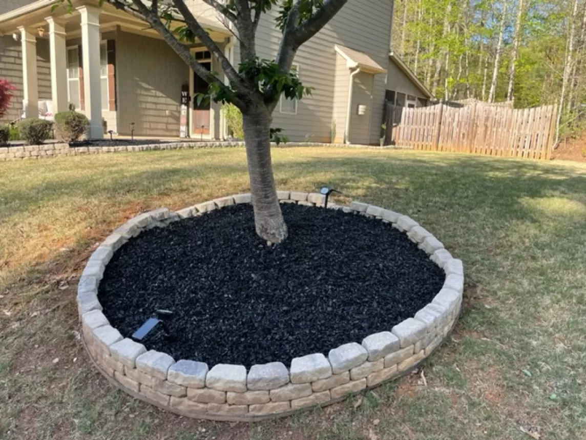 Black rubber mulch tree ring