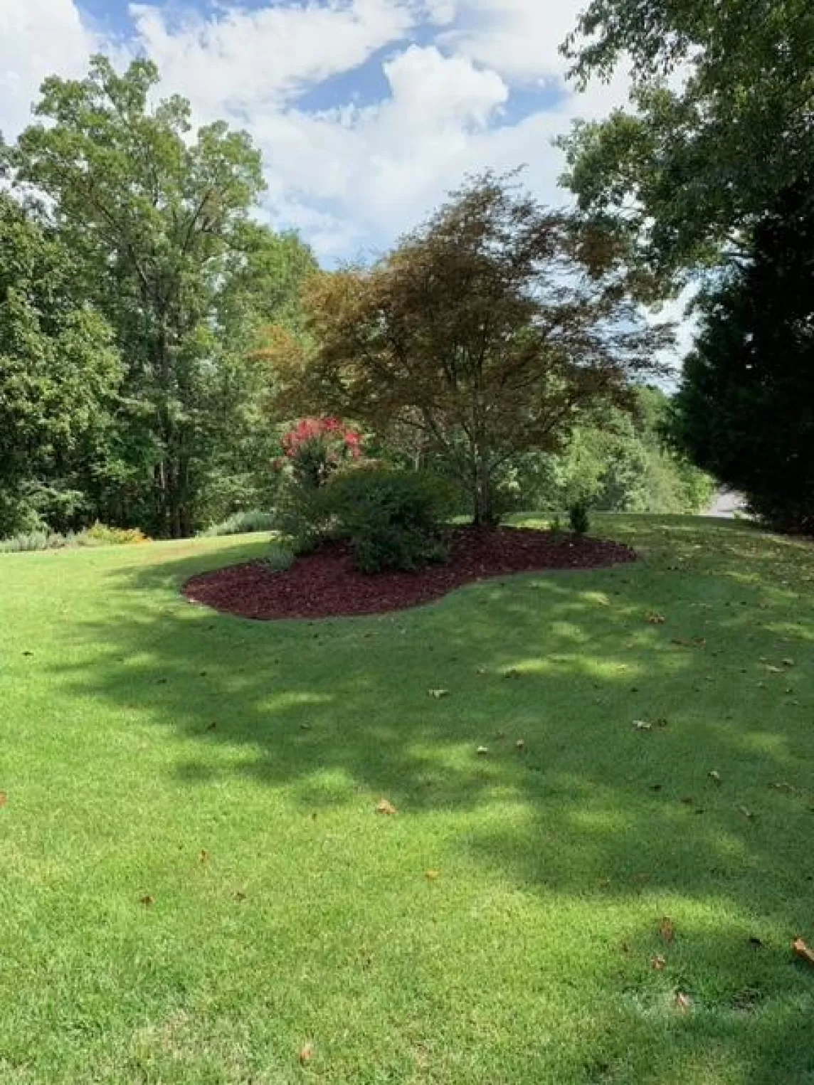 Red Landscape Rubber Mulch Around Tree