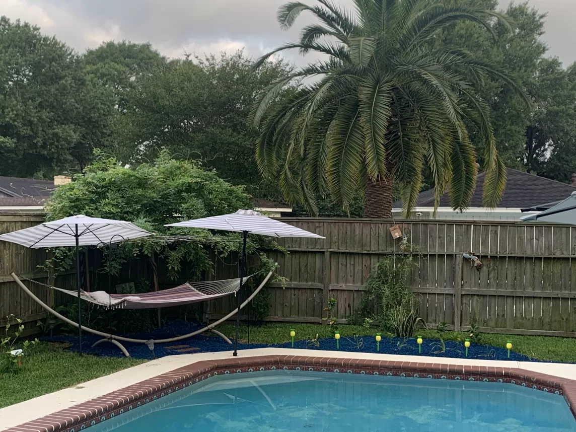 A pool with blue rubber mulch edging