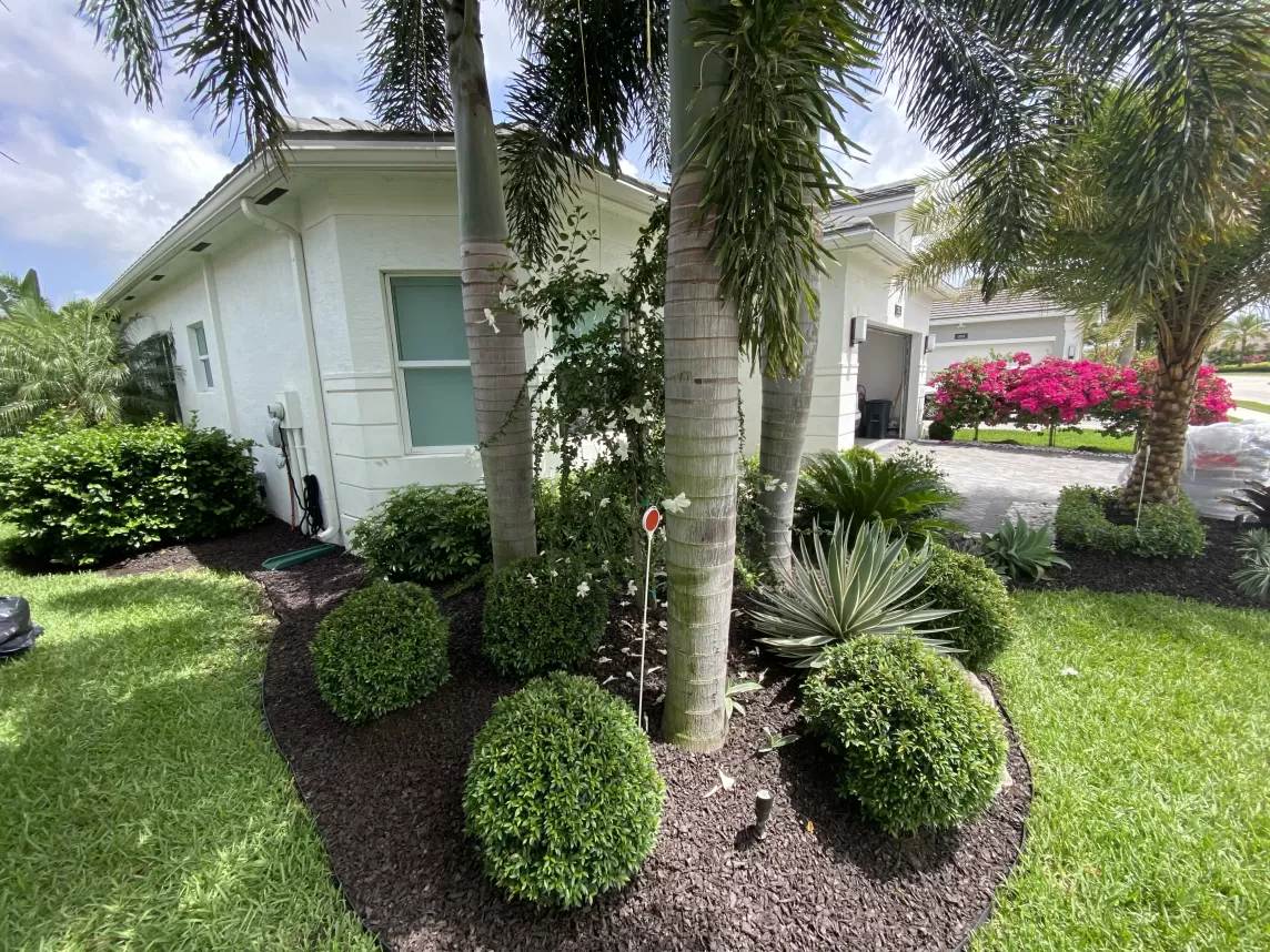 Garden bed with brown rubber mulch