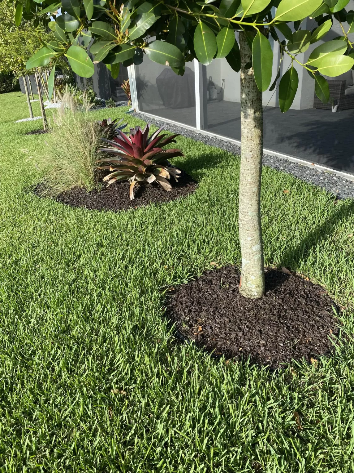 Tree ring with brown rubber mulch
