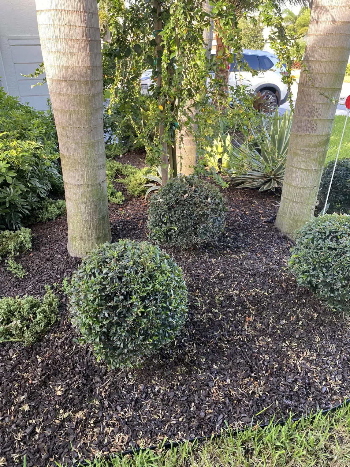 Brown Rubber Mulch Front Yard Landscaping