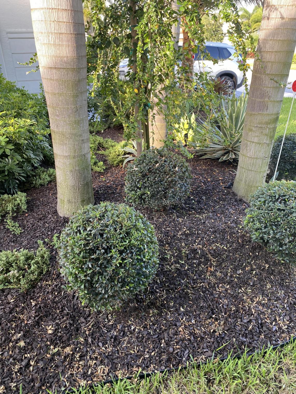 Brown Rubber Mulch Front Yard Landscaping