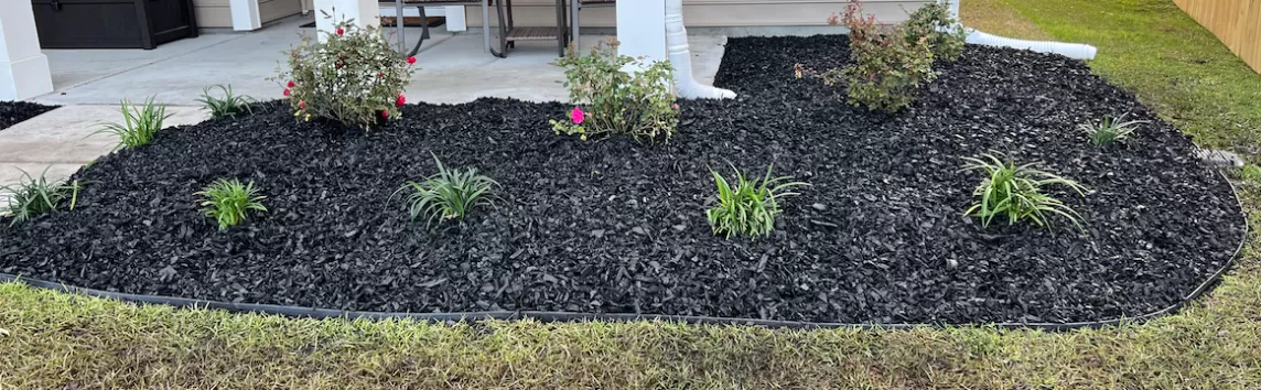 New garden with black rubber mulch