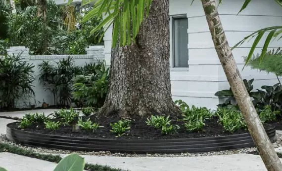 Aluminum Landscape Edging Around a Tree