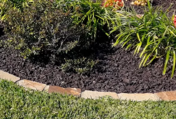 Brown Rubber Mulch Landscaping Bed