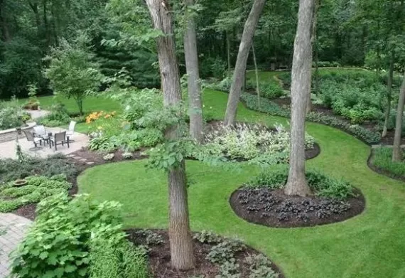 Backyard with brown landscaping rubber mulch in the garden beds of healthy plants.