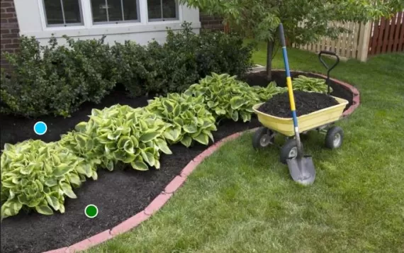 Black landscape rubber mulch in the front yard applied in multiple layers.