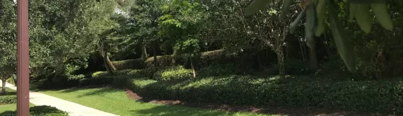 Rubber Mulch for Property Management