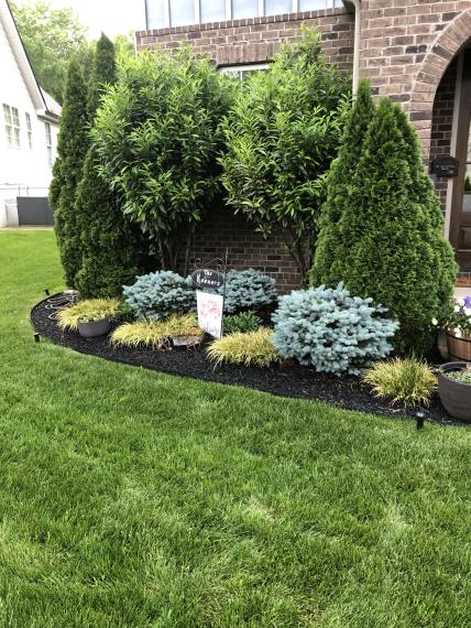 Rubber Mulch Landscaping