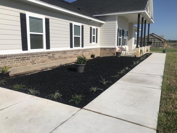 Black Rubber Mulch in Beds in the Front of the House